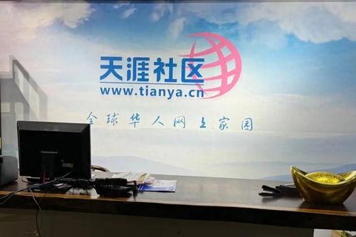 杭州天涯论坛爆料新闻,揭秘背后惊人真相！