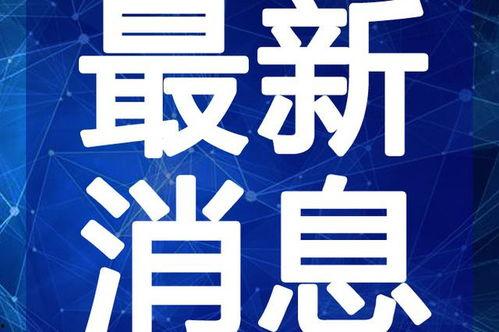魔味鸭最新爆料视频,独家揭秘幕后制作过程与美食秘籍
