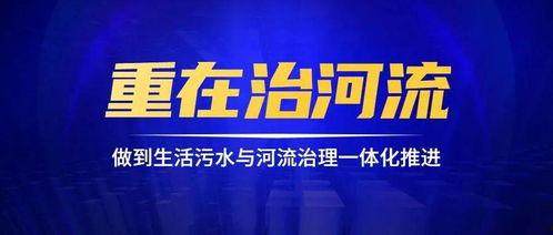 思泉最新上市爆料新闻,科技与创新的完美融合，引领行业新潮流  第3张