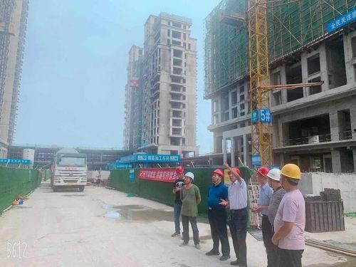 禹州最新爆料,揭秘神秘事件背后的真相