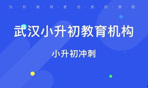 武汉小升初最新爆料,揭秘2023年升学政策与热门学校竞争态势  第2张