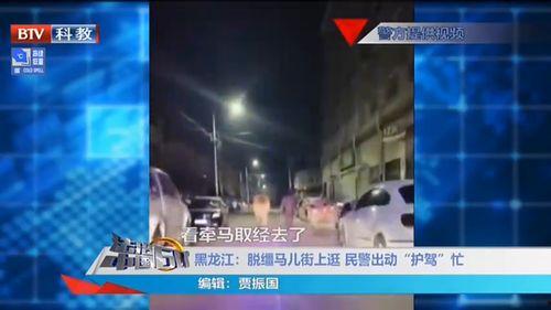 梅州现场新闻爆料视频大全,多角度呈现热点事件