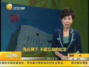 辽宁新闻爆料电话,揭露身边事，共建和谐家园  第3张