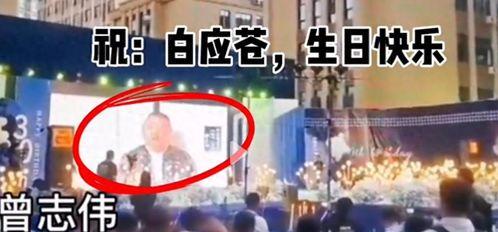 曾志伟爆料江湖视频,独家爆料视频曝光