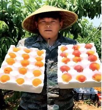 徐州新农人最新爆料,农业现代化新篇章背后的故事  第3张
