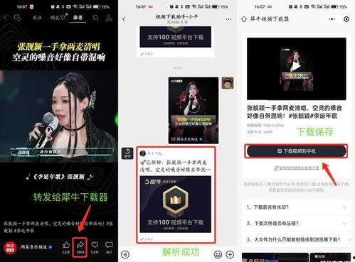 港媒爆料视频下载网站免费,免费视频下载网站背后的秘密大揭秘！”