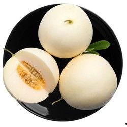甜瓜概念爆料视频大全最新,揭秘热门甜瓜背后的故事与魅力  第2张