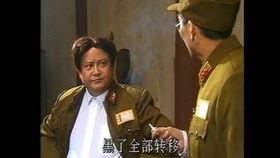 爆料四川配音视频,方言魅力四溢，方言文化传承新篇章  第3张