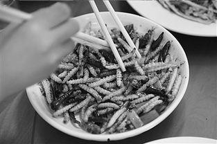 关于竹虫事件爆料的新闻