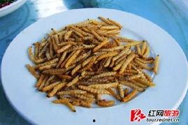 关于竹虫事件爆料的新闻  第2张