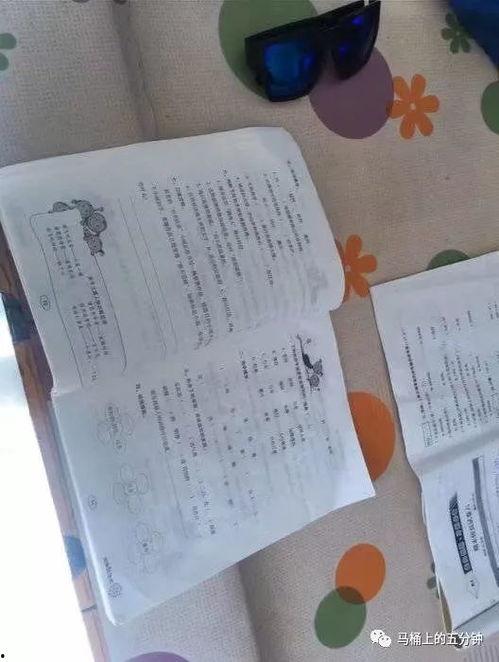 小学生写诗爆料视频素材,小学生写诗爆料，揭秘校园生活趣事  第3张