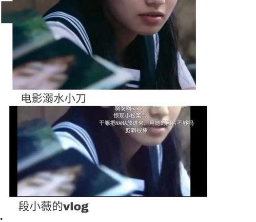 吃瓜娱乐圈最新语录,笑料百出，明星们金句频出  第3张