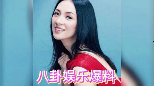 娱乐吃瓜 明星有哪些人,揭秘明星们的跌宕人生  第3张