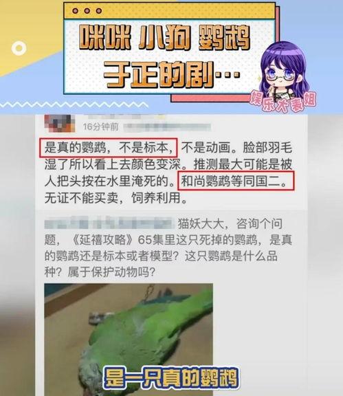 最新爆料珍爱生命视频,揭秘最新爆料视频背后的感人故事  第3张