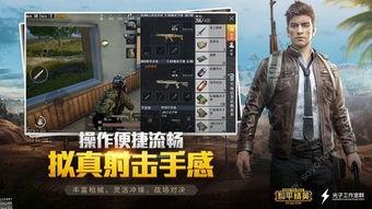 pubg国际服rp最新手册爆料,全新玩法与策略解析  第3张