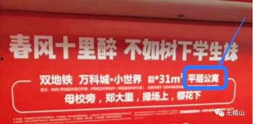 郑州网友最新爆料,揭秘某神秘事件真相! 第2张 郑州网友最新爆料,揭秘某神秘事件真相! 第2张