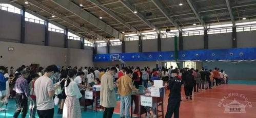 武汉大学今日爆料新闻,揭秘校园重大事件真相