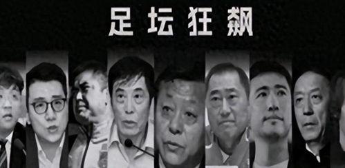 东北口音娱乐圈爆料,揭秘明星私下“东北味”趣事  第3张