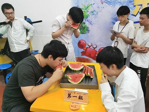 吃瓜大赛在线播放免费观看全集,免费观看全集，揭秘娱乐圈幕后风云