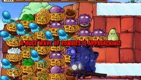 小齐的四个菜爆料视频,家常美食背后的烹饪秘诀