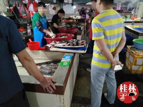 网红吃瓜视频不用钱,网红视频带你领略娱乐圈风云变幻 第3张 网红吃瓜视频不用钱,网红视频带你领略娱乐圈风云变幻 第3张