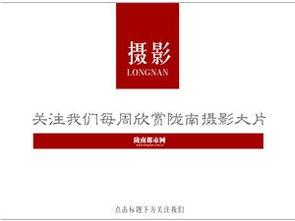 陇南新闻爆料台,聚焦民生热点,传递社会声音 第2张 陇南新闻爆料台,聚焦民生热点,传递社会声音 第2张